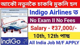 indigo Airlines New Recruitment 2024Indigo Airlines Job Online ApplyHow To Apply Indigo Airlines [upl. by Catharina]