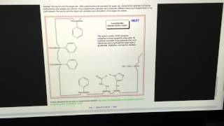 Basic function of the acetylcholinesterase enzyme [upl. by Aineles588]