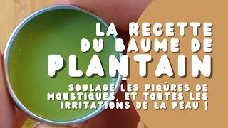 La recette du baume de plantain express 🌿 [upl. by Etat397]