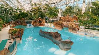 Discover Center Parcs Whinfell Forest [upl. by Goldfinch]