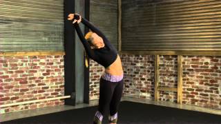 Workout Guide  Standing Oblique Stretch [upl. by Wainwright174]