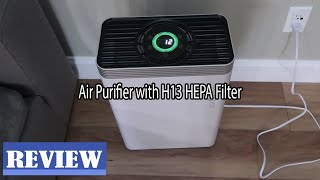 PurOxygen P500 Air Purifier Review  Watch Before You Buy [upl. by Rodi]