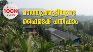 മാസം ലക്ഷങ്ങൾ വരുമാനം  ആർക്കും മാതൃകയാക്കാം മാത്തുക്കുട്ടിയുടെ ഹൈടെക് പന്നിഫാം  Hi Tech Pig Farm [upl. by Fillander]