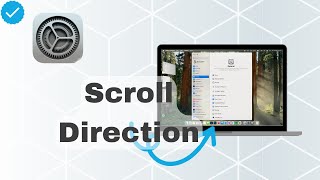 How To Set Up Scroll Direction On MacOS [upl. by Fachanan526]