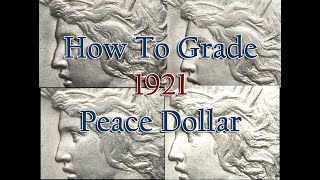 Grading 1921 Peace Dollars  How To Grade 1921 High Relief Peace Dollars [upl. by Hpeosj]