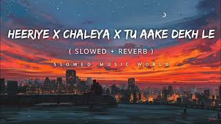 Heeriye x Chaleya x Tu aake Dekh le  HINDI  SONG [upl. by Clein509]