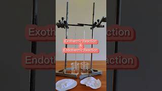 Best activity Exothermic and Endothermic Reaction Part 1chemistry [upl. by Ainedrag]