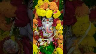 marathi ganpatibappamorya viralvideo trending ganpati jaiho shortvideo shorts short like [upl. by Michella871]