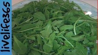 Why Eat Arugula [upl. by Dredi127]