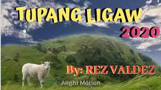 quotTUPANG LIGAWquot BEST TAGALOG PRAISE SONG 2020 by REZ VALDEZ with LYRICS HEAVENS PRAISE [upl. by Atikam]