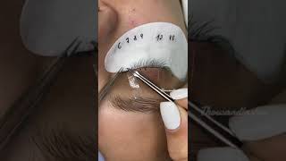 Lash Series Lashing in Layers the Sandwich Method [upl. by Clawson]