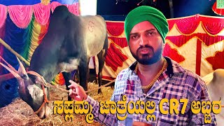 Varthur Santhosh Showcase Hallikar Stud Bull CR7 at Sapalamma Cattle Fair 2023 [upl. by Idieh]