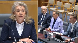 ‘Level of disrespect’ Qantas Chair and CEO grilled in Senate inquiry [upl. by Assillem356]