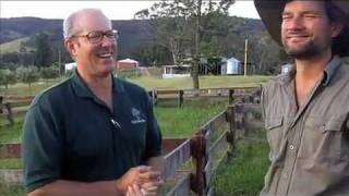 Milkwood Joel Salatin on debt free farming [upl. by Padegs]