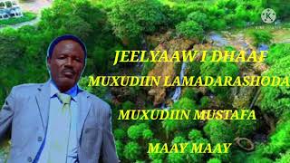 hees cusub muxudiin mustaf maay jeelyaw i dhaaf maay maay muxudiin lamadaarashooda jeelyaaw i DHAAf [upl. by Lauer]