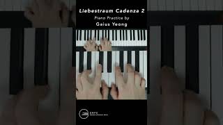 Franz Liszt  Liebestraum Love Dream Cadenza 2 Piano Practice by Gaius Yeong [upl. by Nihs]