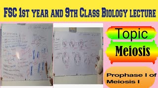 Topic Meiosis Prophase 1 of Meiosis 1 lecture delivered by Maam Samina Khuram 👍 [upl. by Cortie672]