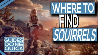 Where To Find Squirrels In Horizon Forbidden West [upl. by Sesylu947]