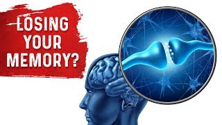 Memory Loss and the Hippocampus – DrBerg MUST WATCH [upl. by Nosyarg]