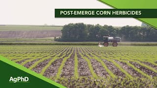 PostEmerge Weed Control In Corn From Ag PhD 1152  Air Date 5320 [upl. by Nilram]