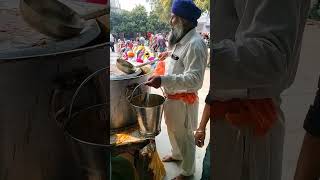 Gurudwara Langar shorts [upl. by Henricks]