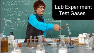 Identification of Gases  Sir AK Singh  Chemistry  Experiment [upl. by Ecerehs]