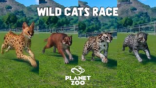 Fishing cat Kodkod Ocelot Asian golden cat Serval  Planet Zoo Animals Race [upl. by Glenn]