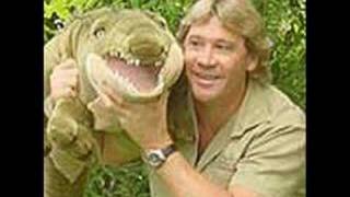 In memory of Steve Irwin 19622006 quotCrocodile Rockquot [upl. by Norej]