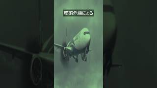 飛行機墜落事故で生き残る唯一の方法（旅行行く人必見） [upl. by Natale]