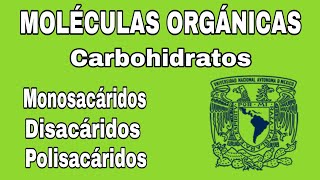 Carbohidratos  Moléculas orgánicas  Explicación  BIOLOGÍA [upl. by Peppel]