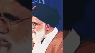 Shia Alam about Sahaba  Syed Jawad naqvi  Almawaiz [upl. by Fleece346]