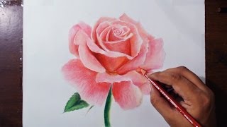 Drawing a Rose  Flower drawing series 1  Prismacolor pencils [upl. by Nirred]