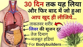 Milk Thistle Benefits Hindi  Milk Thistle Ke Fayde  Milk Thistle Liver Detox  Milk Thistle Review [upl. by Tad]