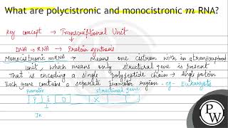 What are polycistronic and monocistronic \ m \ RNA [upl. by Anaerdna]