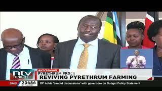 Kenya seeks to revive pyrethrum farming [upl. by Sacul]