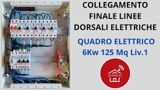 20 COLLEGAMENTO FINALE LINEE DORSALI ELETTRICHE QUADRO ELETTRICO 6Kw 125Mq Liv1 [upl. by Kurtzig]