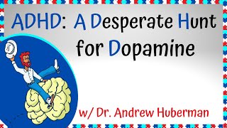 Andrew Huberman on Dopamine Levels in People with ADHD [upl. by Netloc]