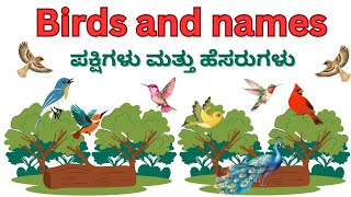 Birds and names ಪಕ್ಷಿಗಳು ಮತ್ತು ಹೆಸರುಗಳುBirdsಪಕ್ಷಿ peacockOwlBirdsToddlerPreschool [upl. by Gardener103]