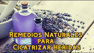 Remedios Naturales para Cicatrizar Heridas [upl. by Alene966]