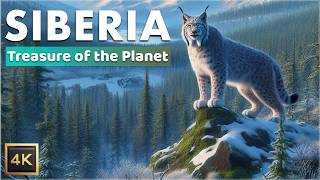 Siberia Exploring the Vast Wilderness  Documentary in 4K [upl. by Aseyt]