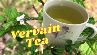 Vervain Tea HEALTH BENEFITS  HOW to MAKE Vervain Tea  Remedy for RESPIRATORY PROBLEMS [upl. by Ymereg]