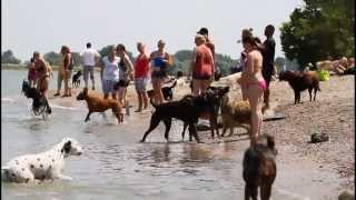 Hundestrand 07 Juli 2013 [upl. by Odom145]