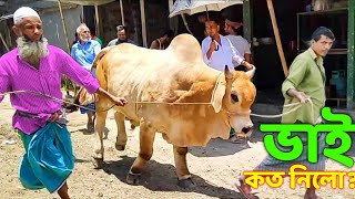 Bhai Koto Nilo Paragram Hozrotpur Gorur Hat 2023Part 11  Qurbani Cow Price in Bangladesh  Cows [upl. by Atinrehs]