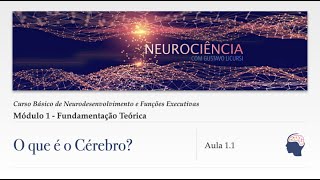 Aula 111  O que é o cérebro  Curso Neurodesenvolvimento [upl. by Stoller]