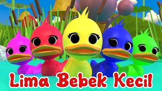 🦆 Lima Bebek Kecil Berenang 🦆 Lagu Anak Indonesia Balita Viral [upl. by Gora]