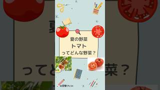 【トマト】夏の野菜ー小学校受験の季節問題 小学校受験 季節 野菜 果物 [upl. by Cirilo]