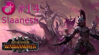 Total War WARHAMMER III  Slaanesh 14  Skupinovka v zahrádce [upl. by Lednic]