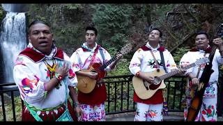 Huichol Musical  Mañana Que Ya No Estes Video Oficial [upl. by Iznek433]