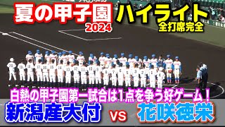 花咲徳栄 vs 新潟産大付 【夏の甲子園 1回戦 全打席ハイライト】 白熱の甲子園第一試合は1点を争う好ゲーム！ 202489 阪神甲子園球場 [upl. by Nnaeirelav]