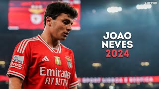 João Neves 2024  World Class Skills Goals amp Assists  HD [upl. by Gaivn541]